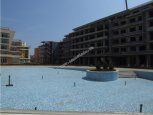 GRAND KAMELIA