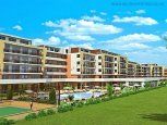 GRAND KAMELIA