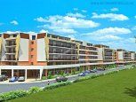 GRAND KAMELIA