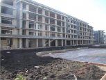 GRAND KAMELIA