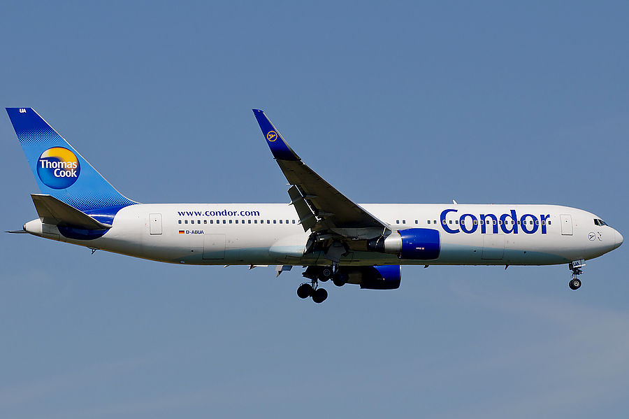 Condor