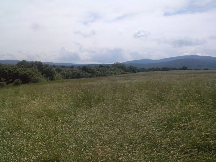 Страна Болгария, область Бургаска, город  Царево, село Варвара 