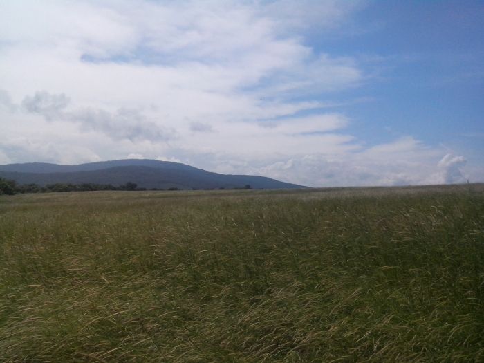 Страна Болгария, область Бургаска, город  Царево, село Варвара 